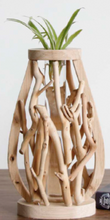 Cargar imagen en el visor de la galería, Driftwood Hydroponic Plants Vase for Home Spa